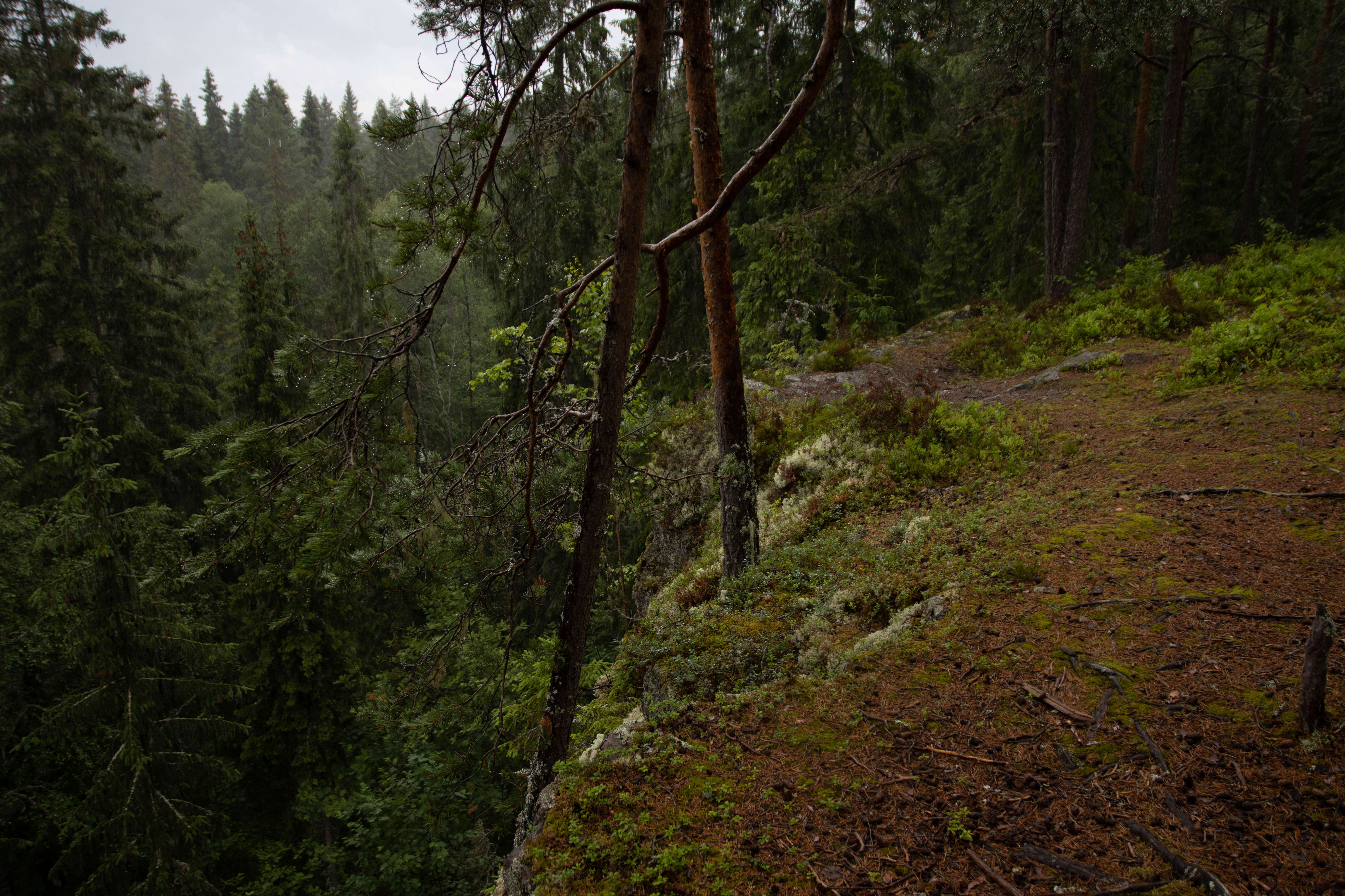 Foto av Ättestupan i Trolldalen