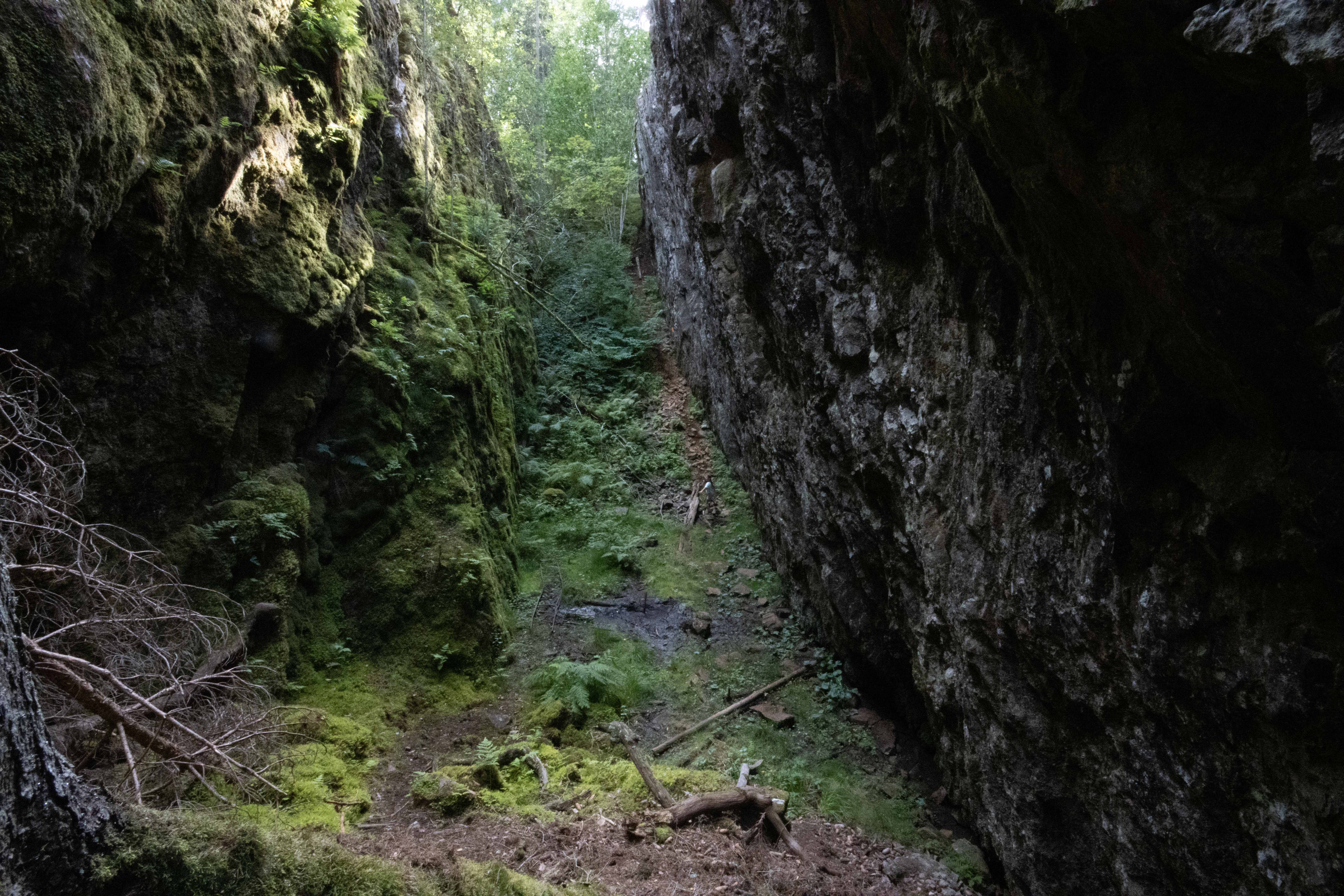 Foto av Brudslöjan