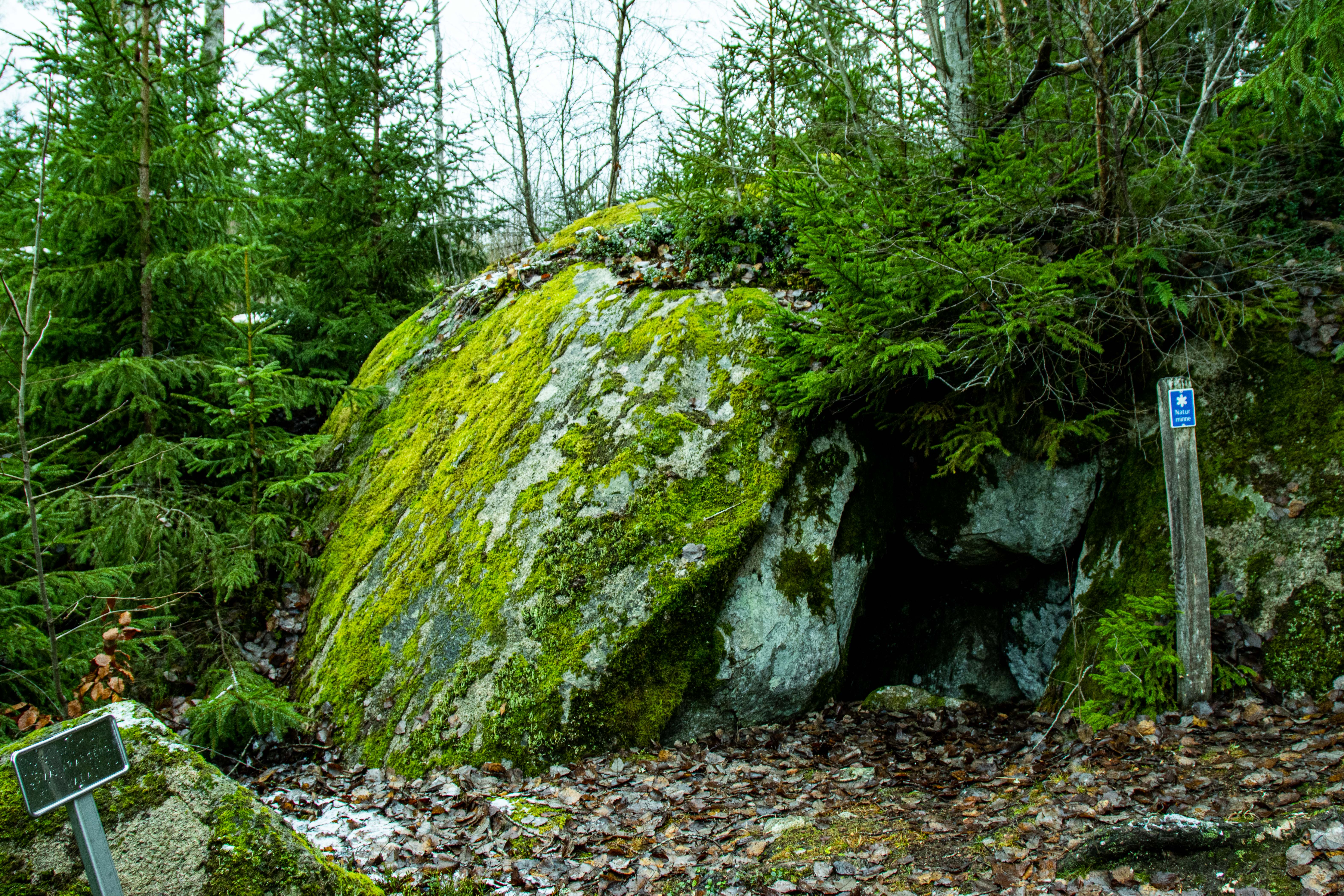 Foto av Dackes Grotta