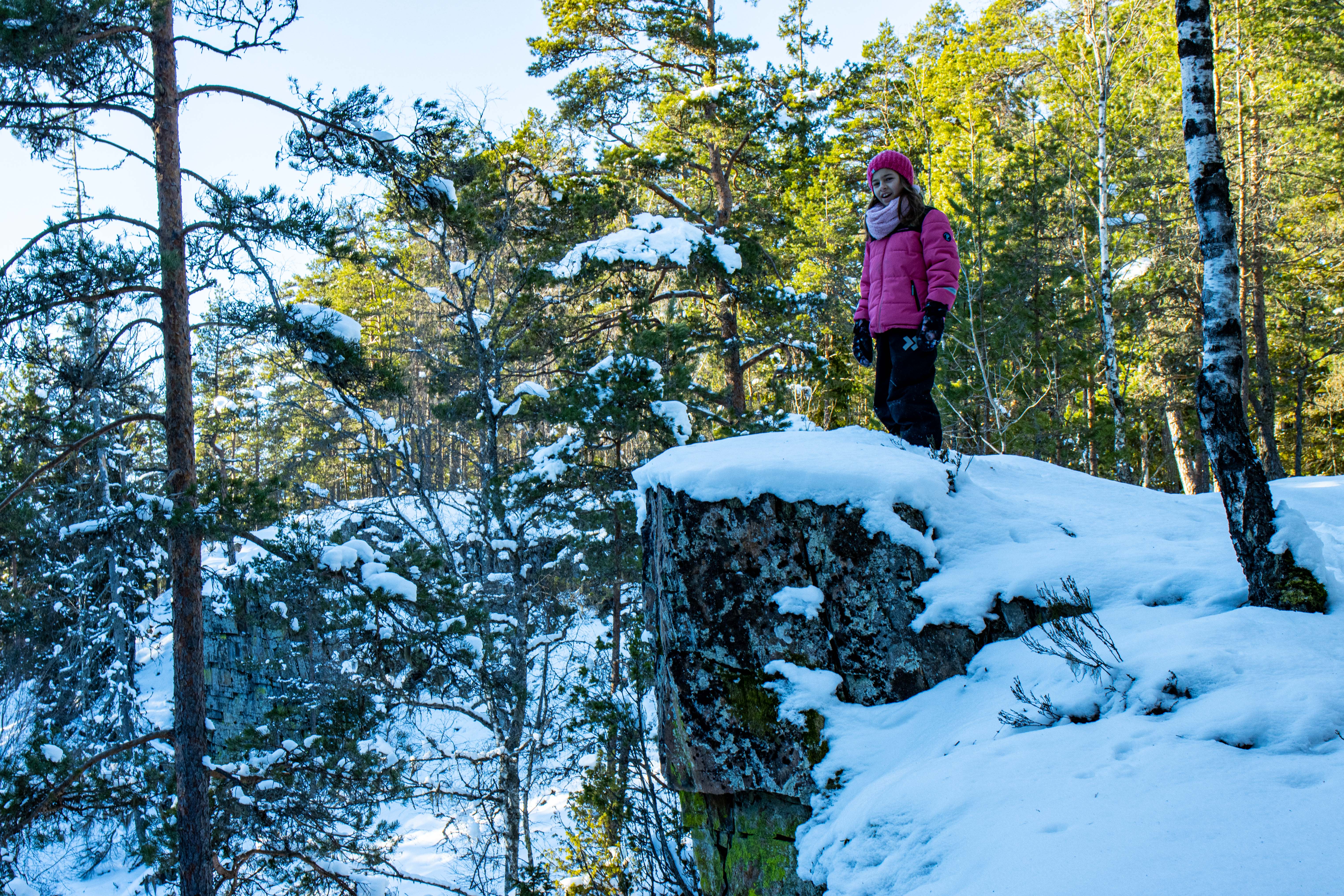 Foto av Uvaklöva