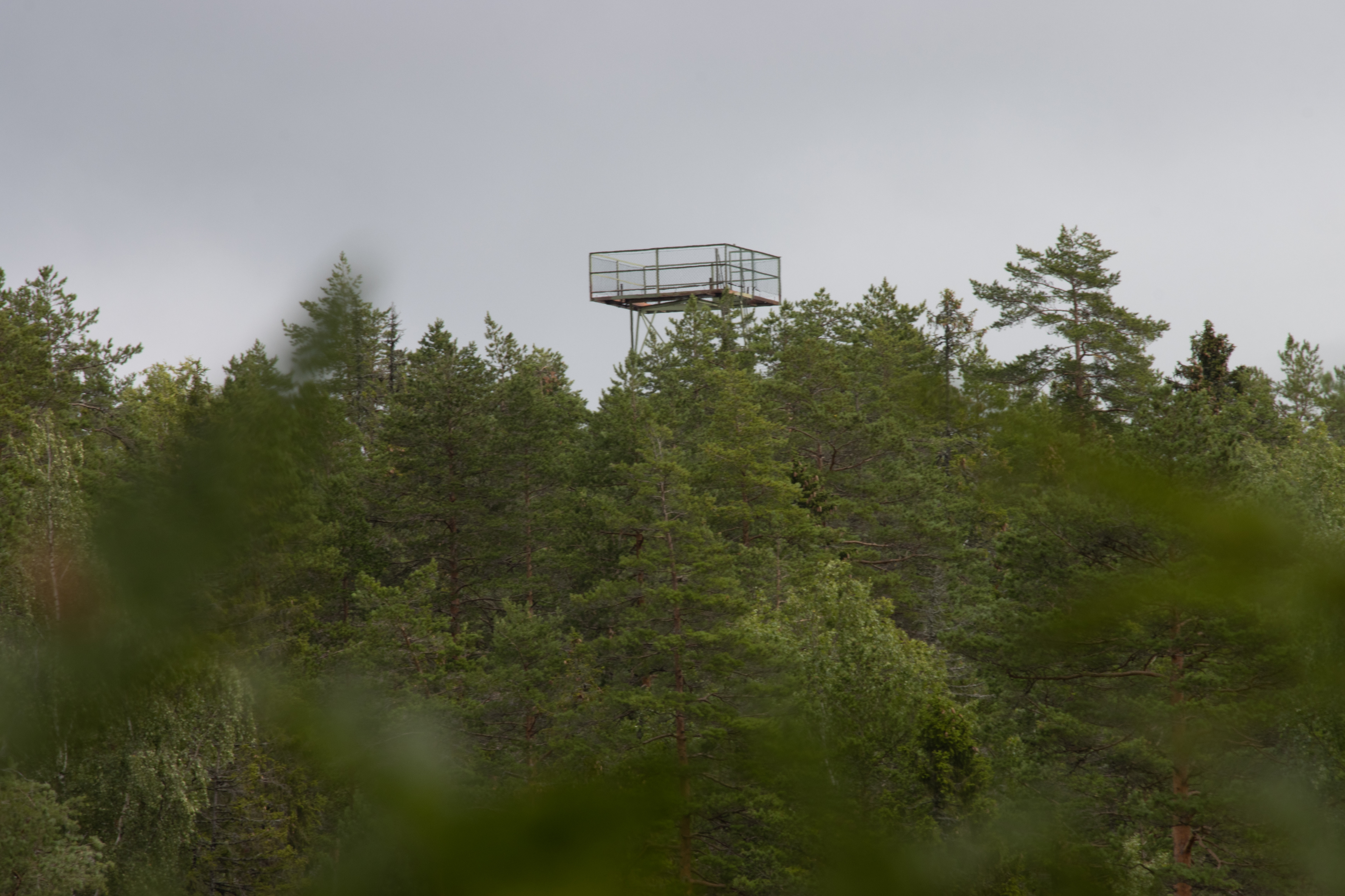 Foto av Naturreservatet Kungshögshällarnas domänreservat