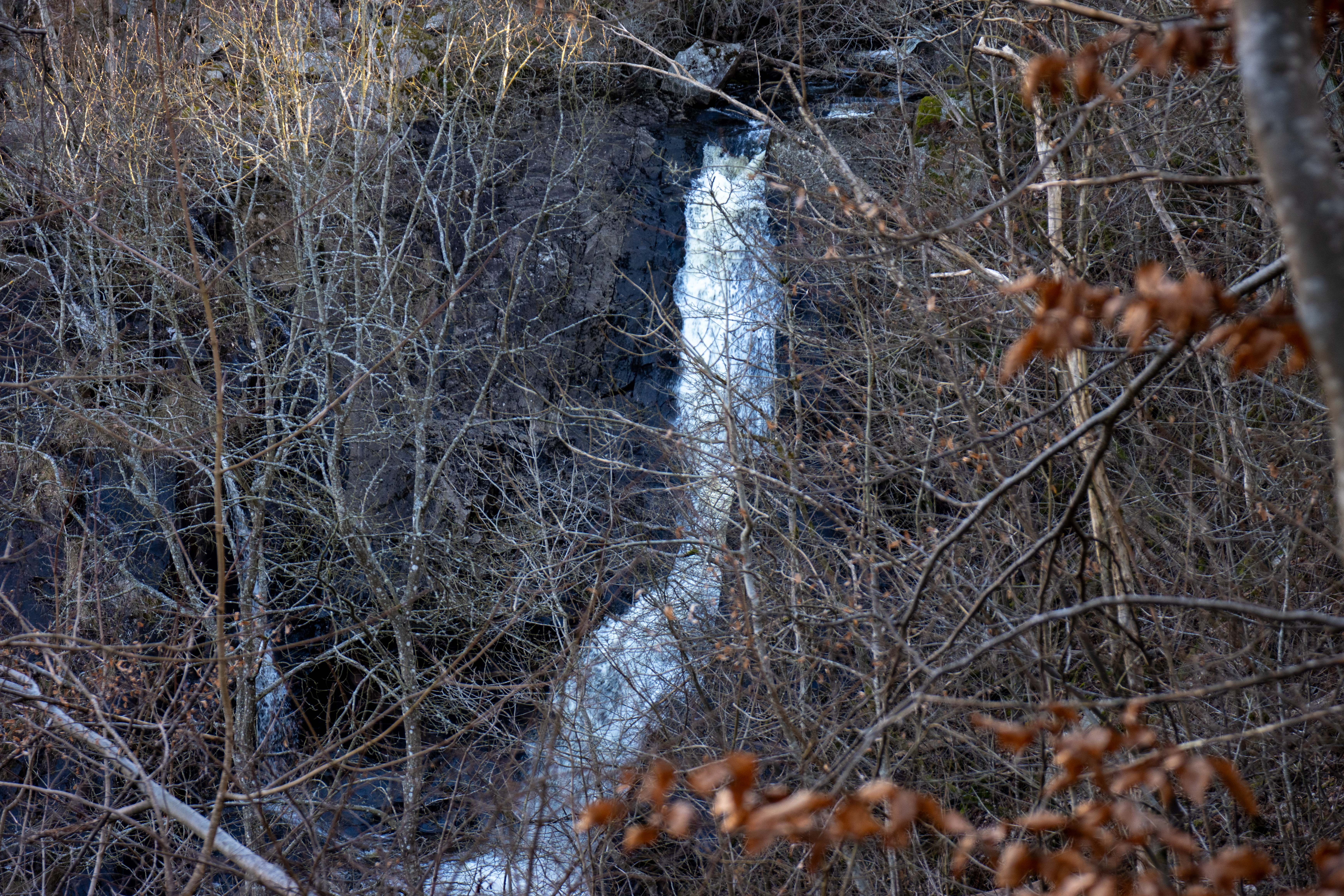 Foto av Svartfallet