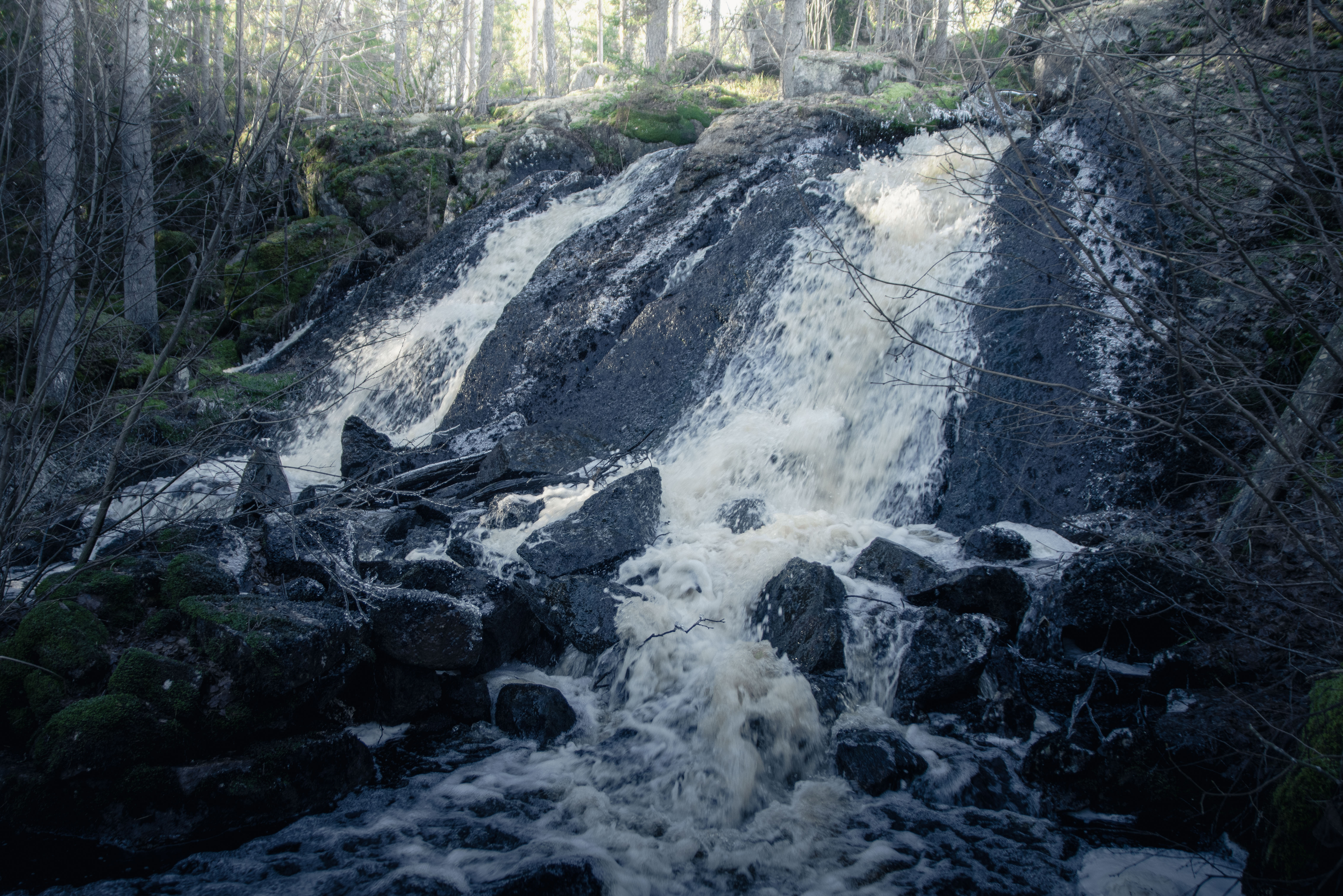 Foto av Gallhålan