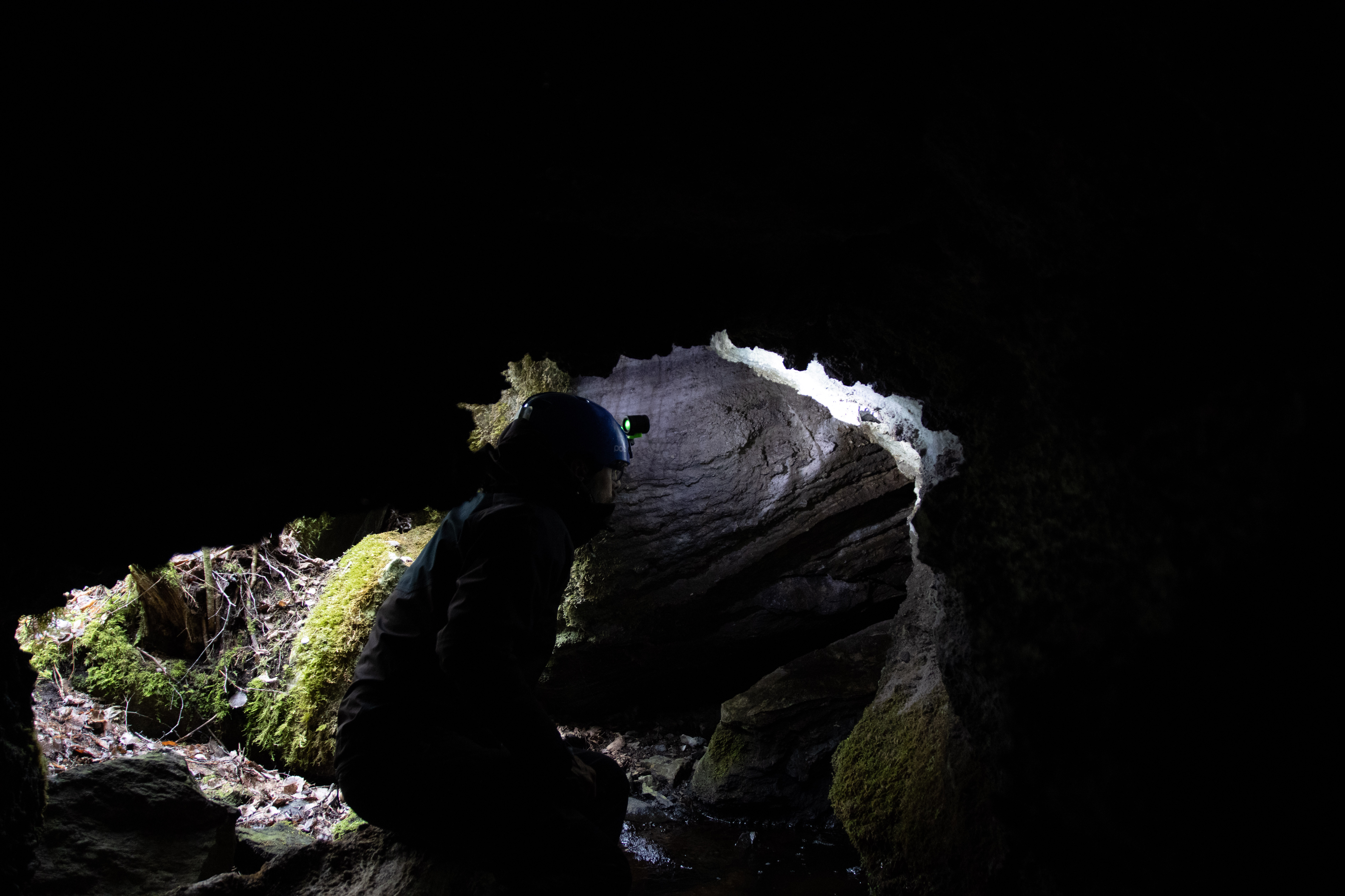 Foto av Linnes grotta