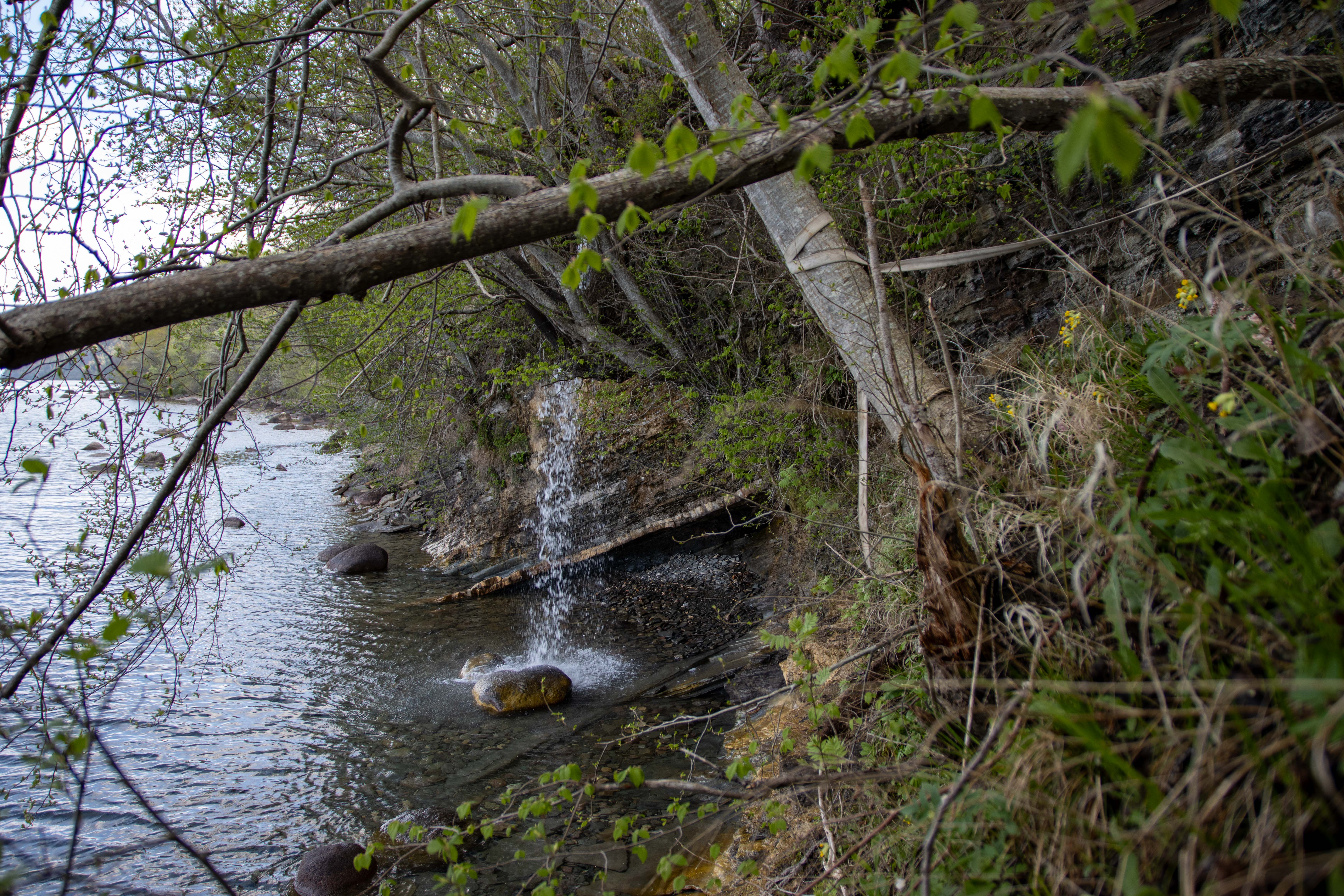 Foto av Naturreservatet Storpissans domänreservat