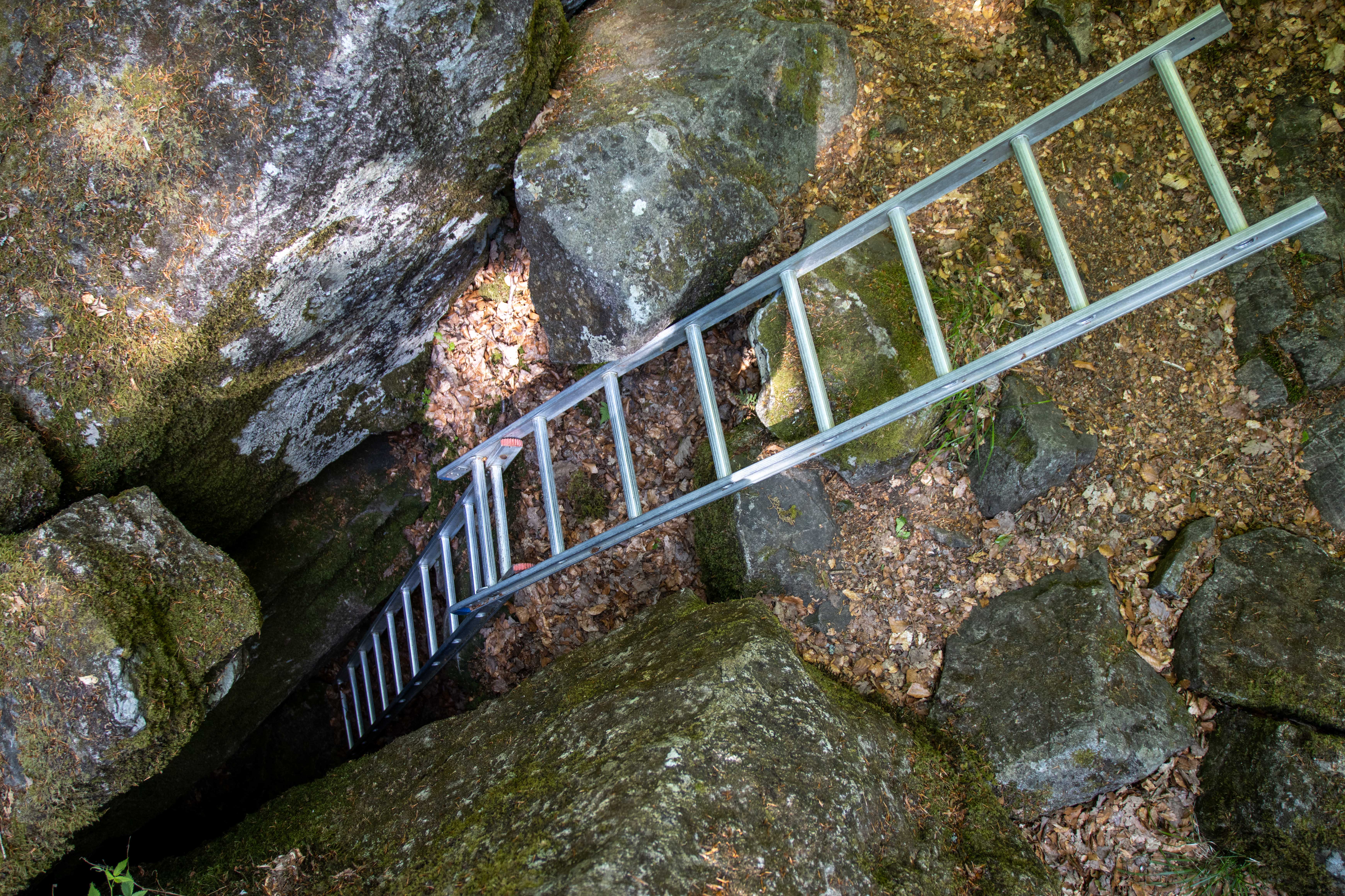 Foto av Grotta