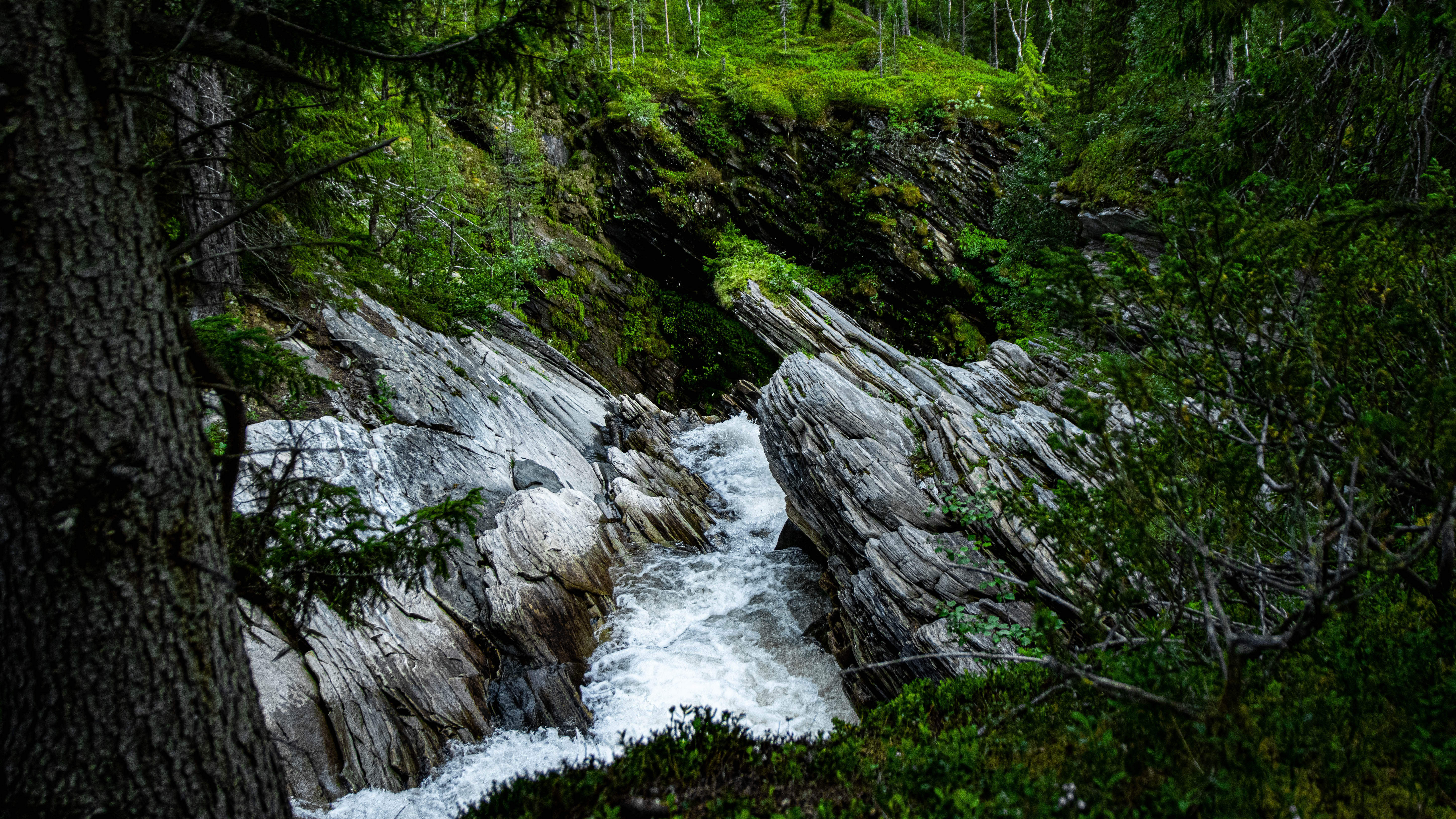 Foto av Tandåfallet