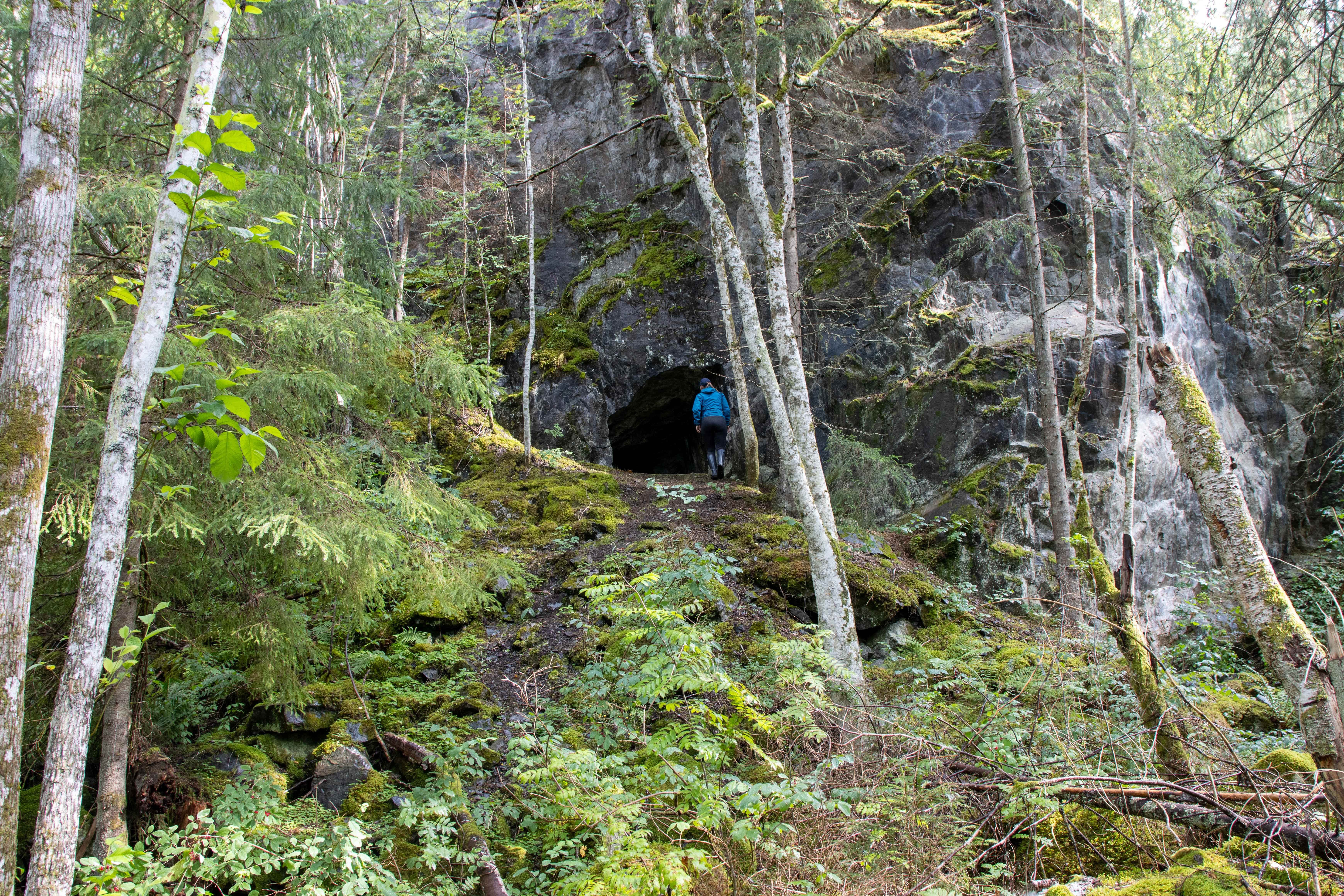 Foto av Naturreservatet Svartberget