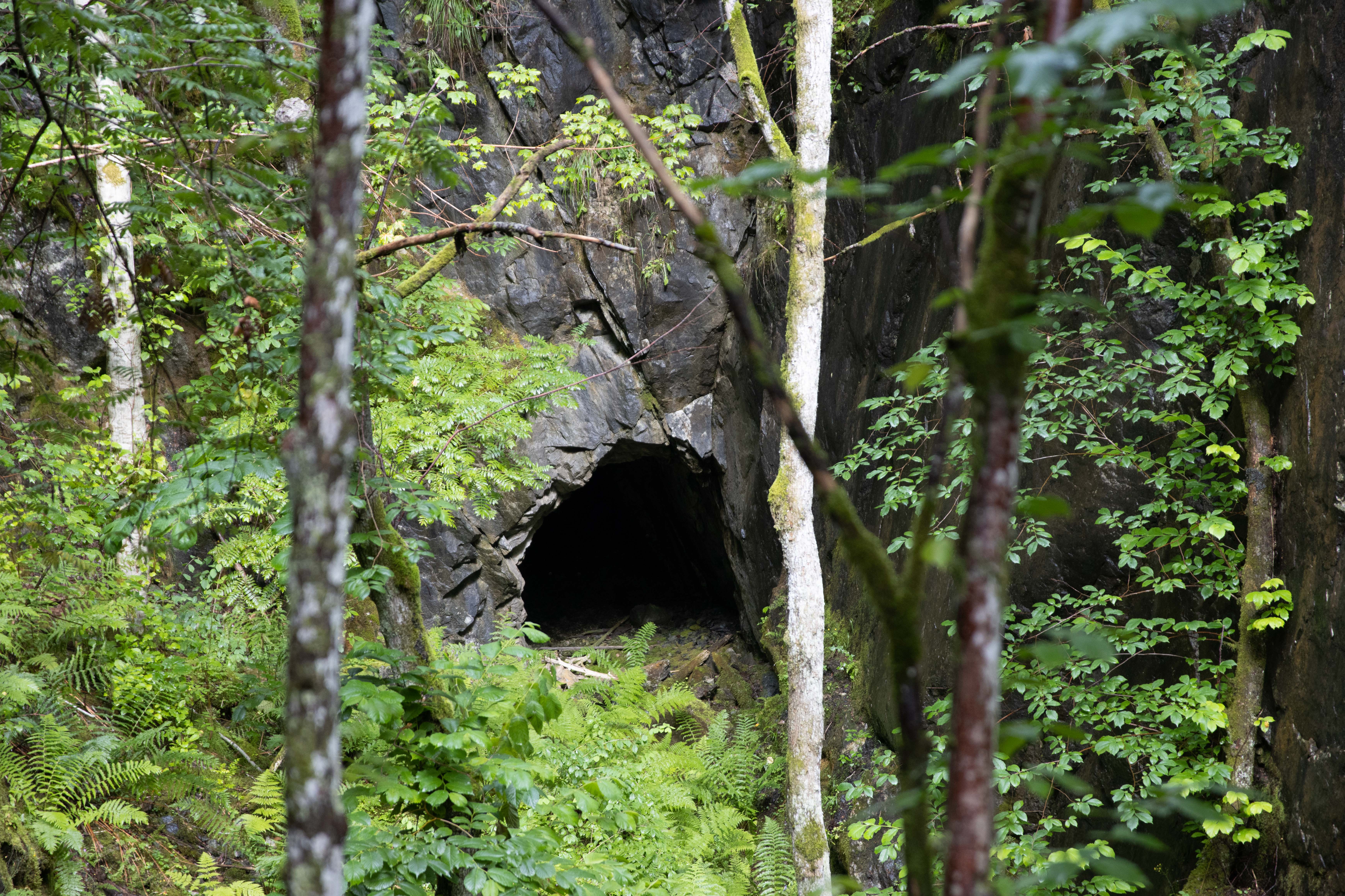 Foto av Svartbergets Kalkbrott