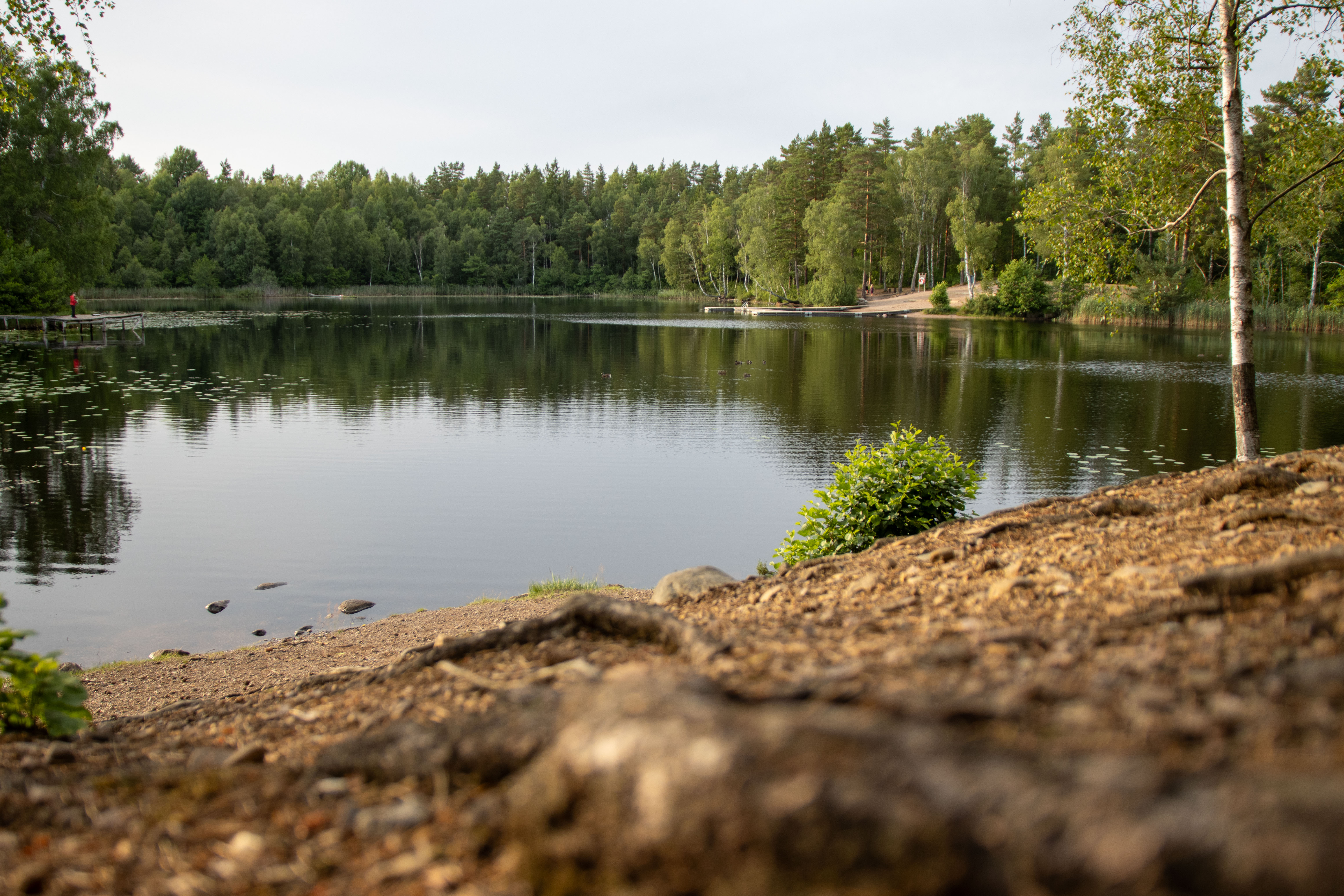 Foto av Naturreservatet Rismåla