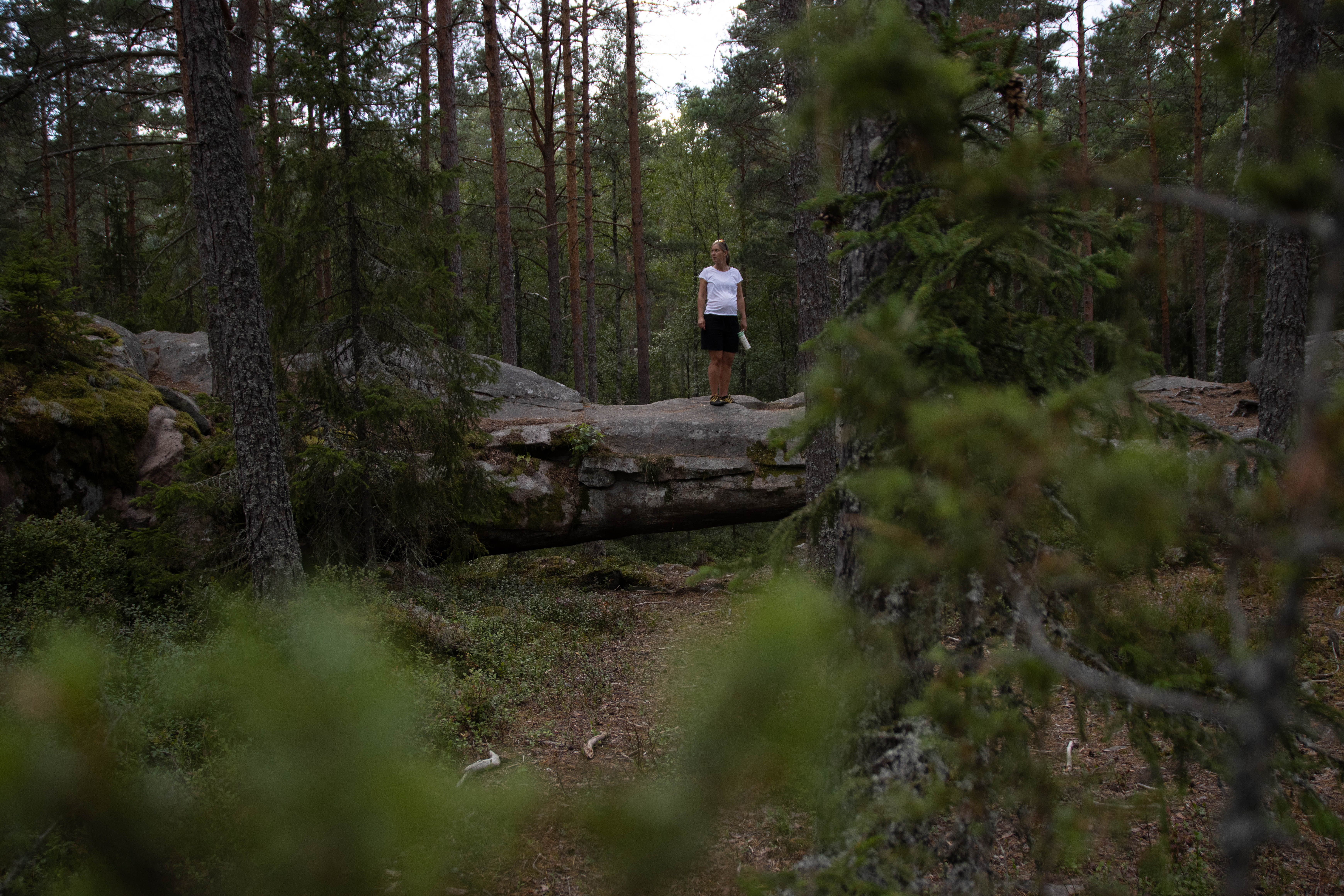 Foto av Bågberget