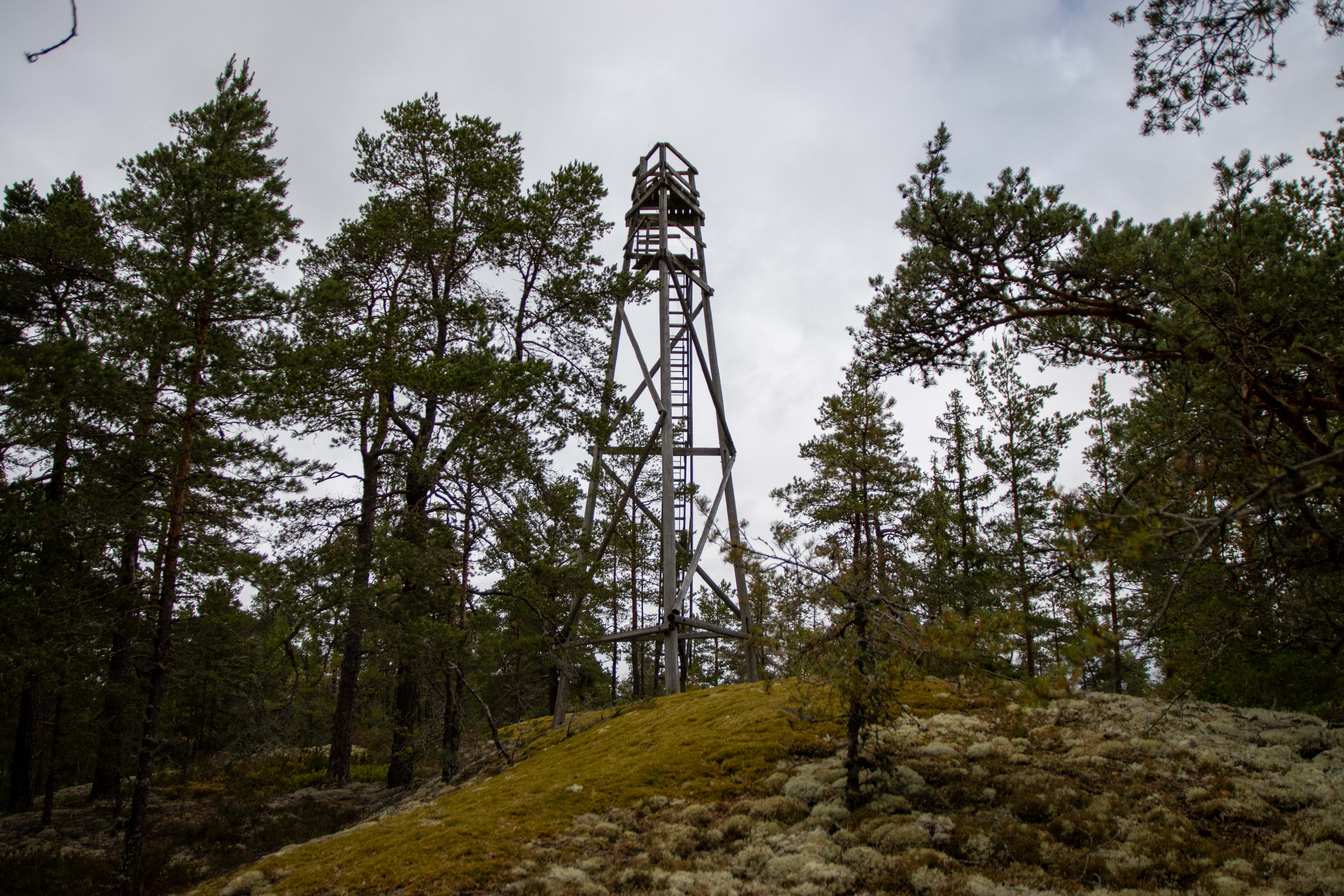 Foto av Skogagrottan