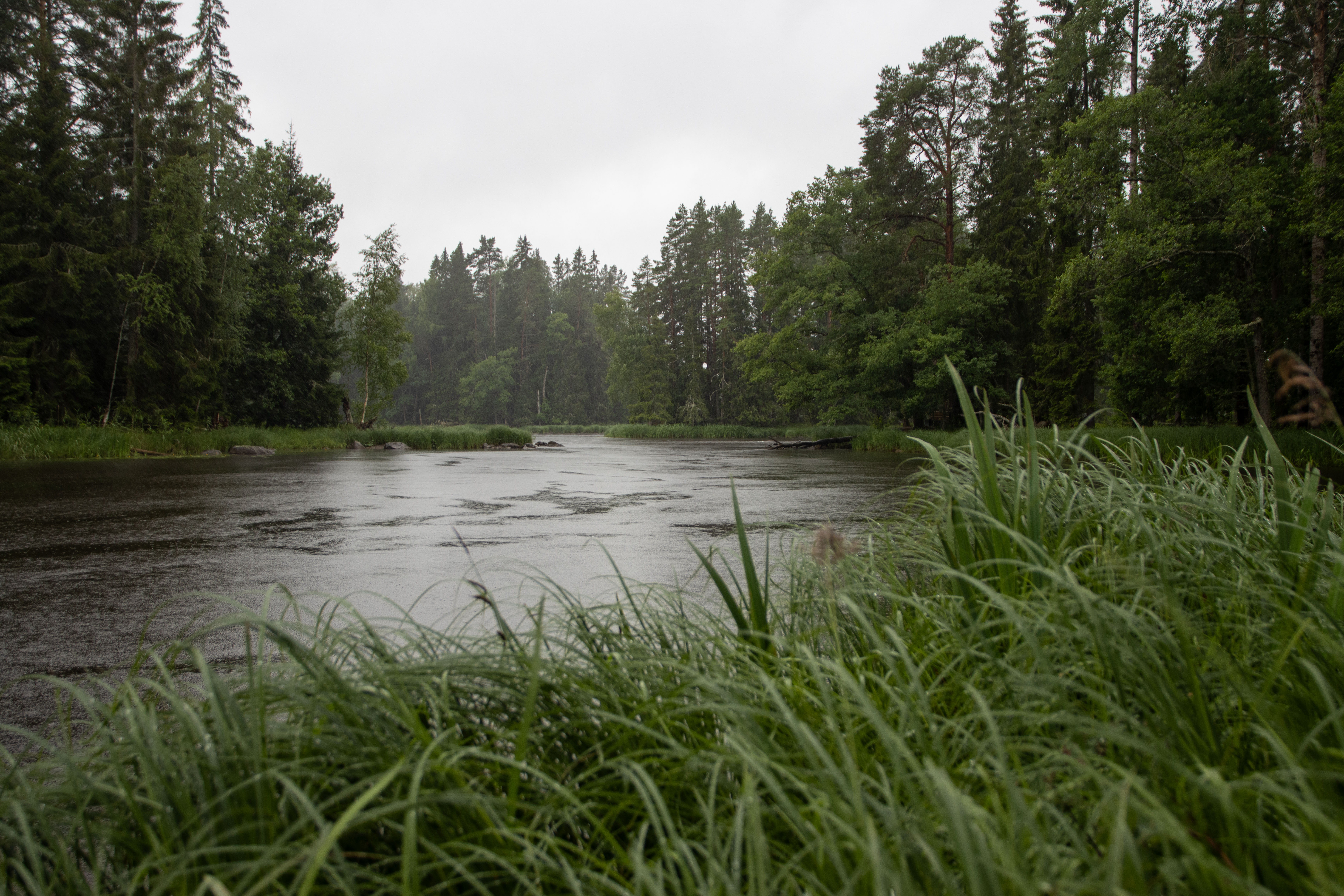 Foto av Nationalparken Färnebofjärden