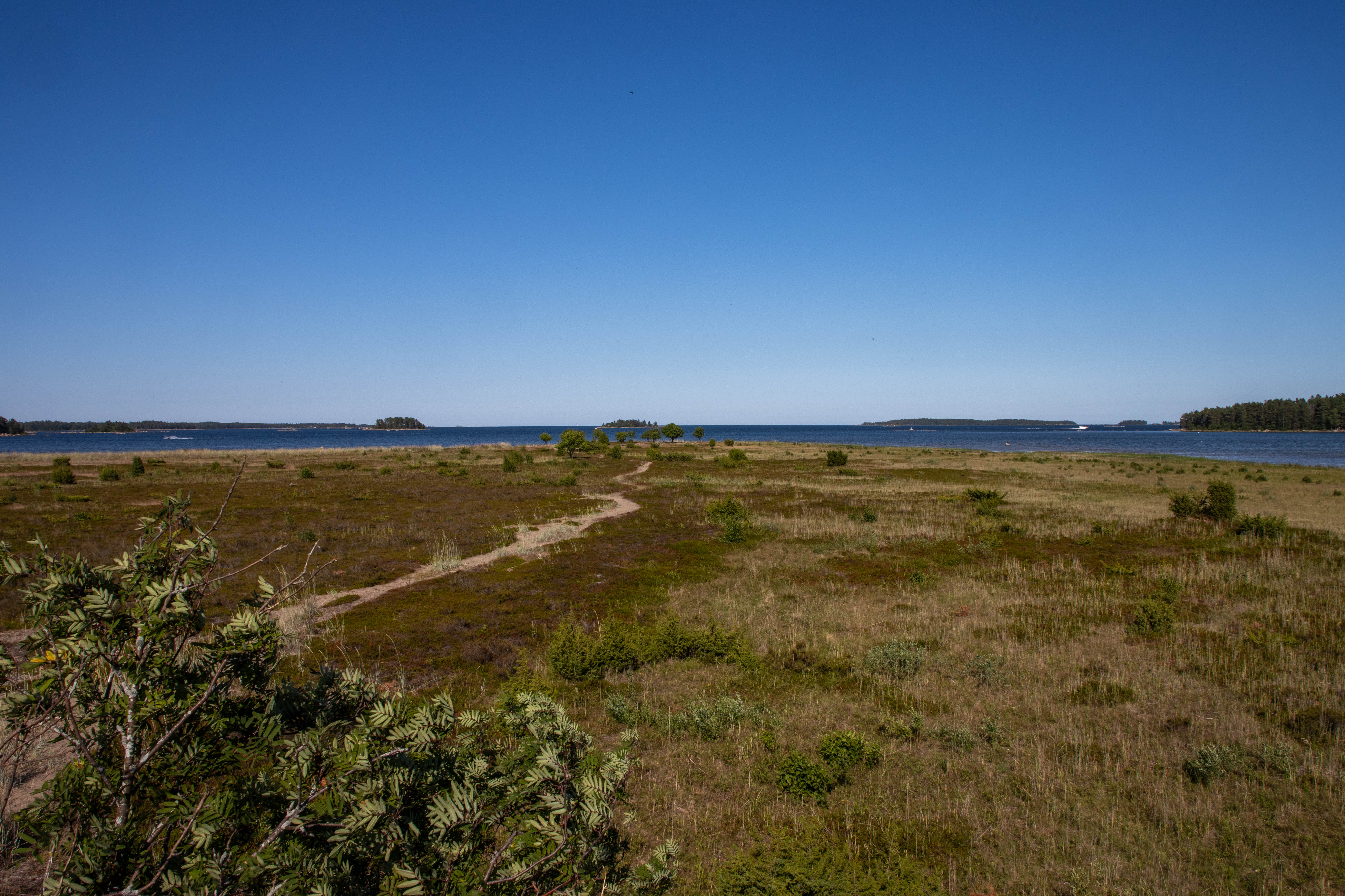 Foto av Naturreservatet Stenöorn
