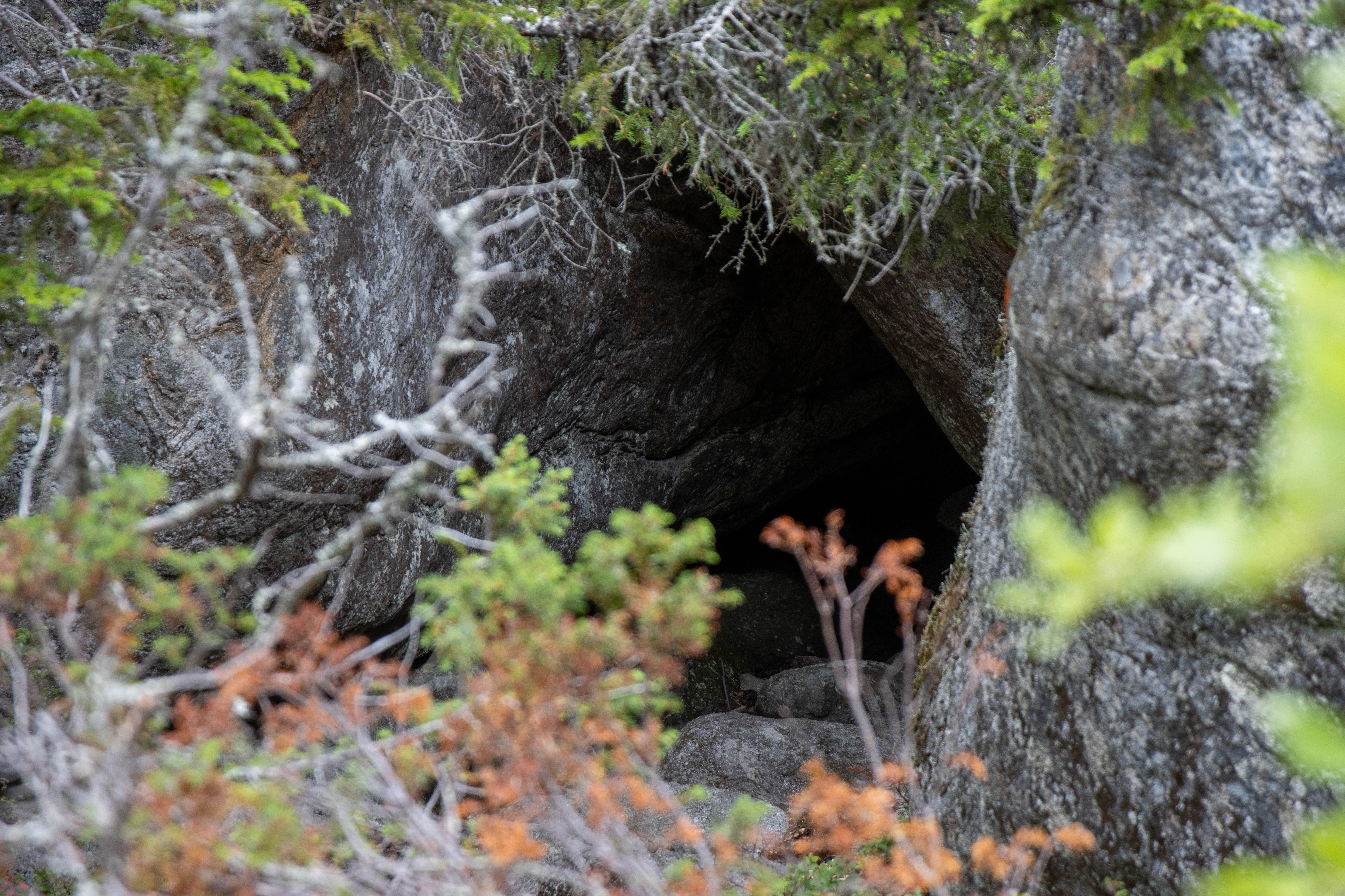 Foto av Borsmalengrottan