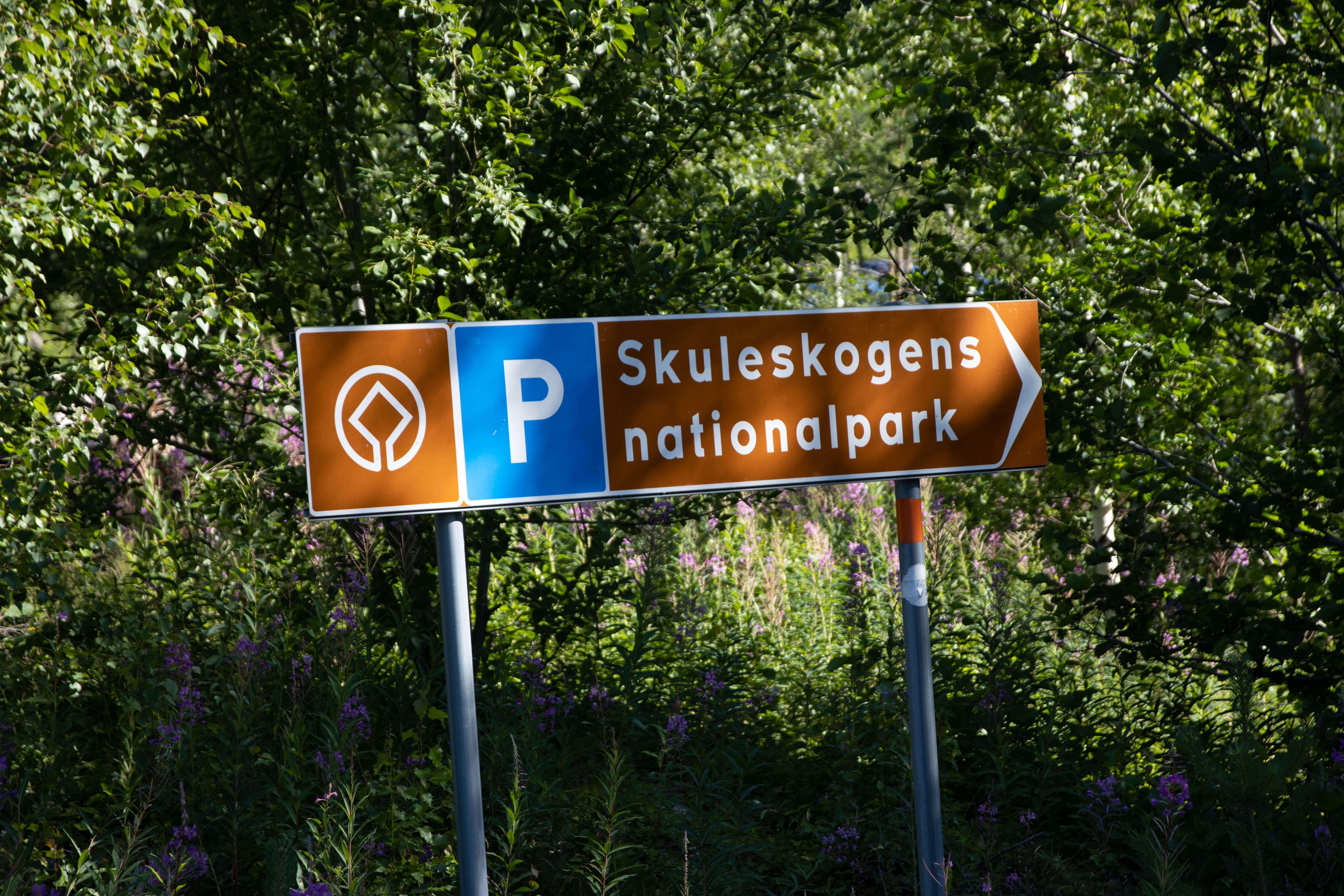 Foto av Nationalparken Skuleskogen