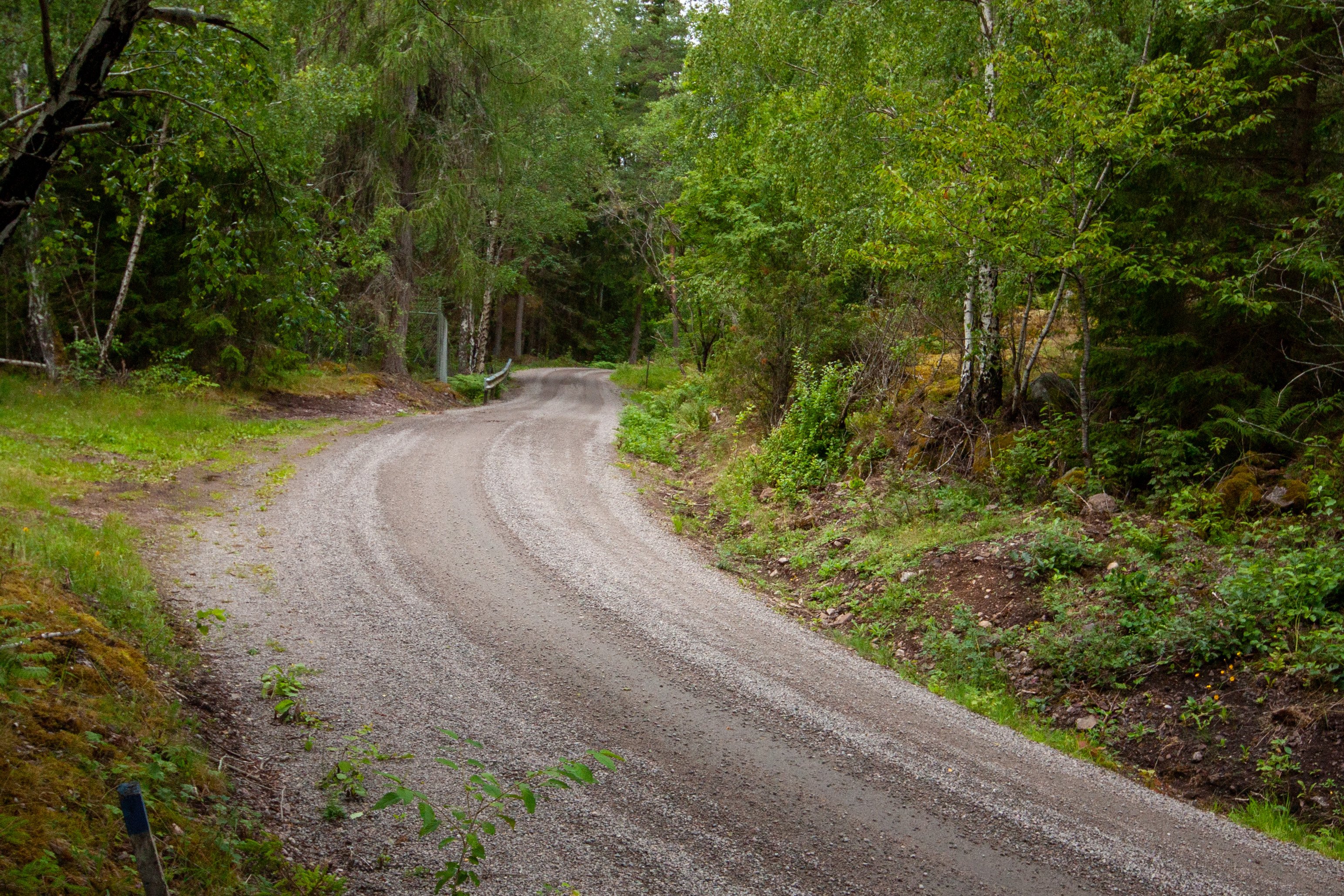 Foto av Naturreservatet Bölets ängar