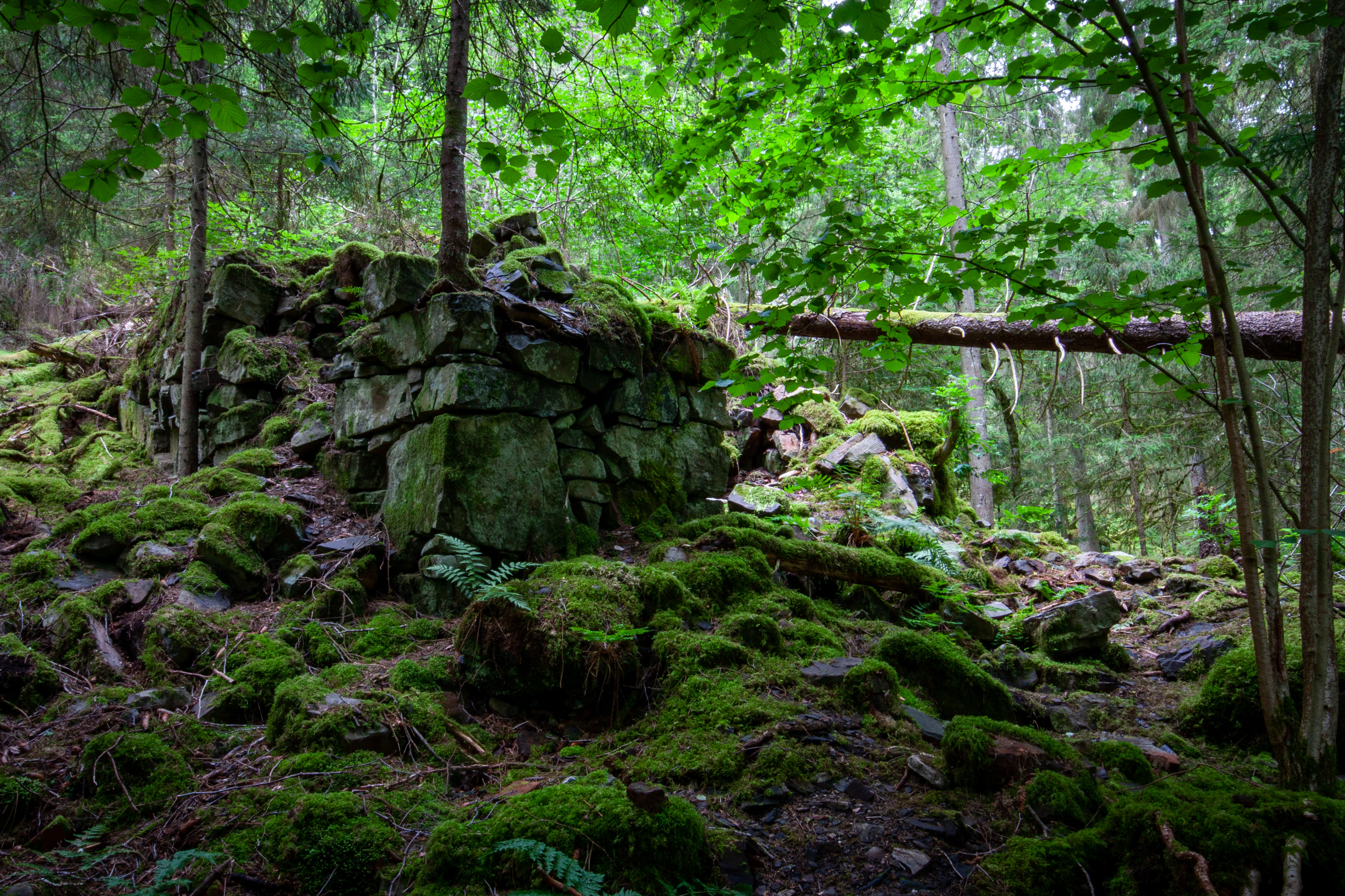 Foto av Den glömda staden