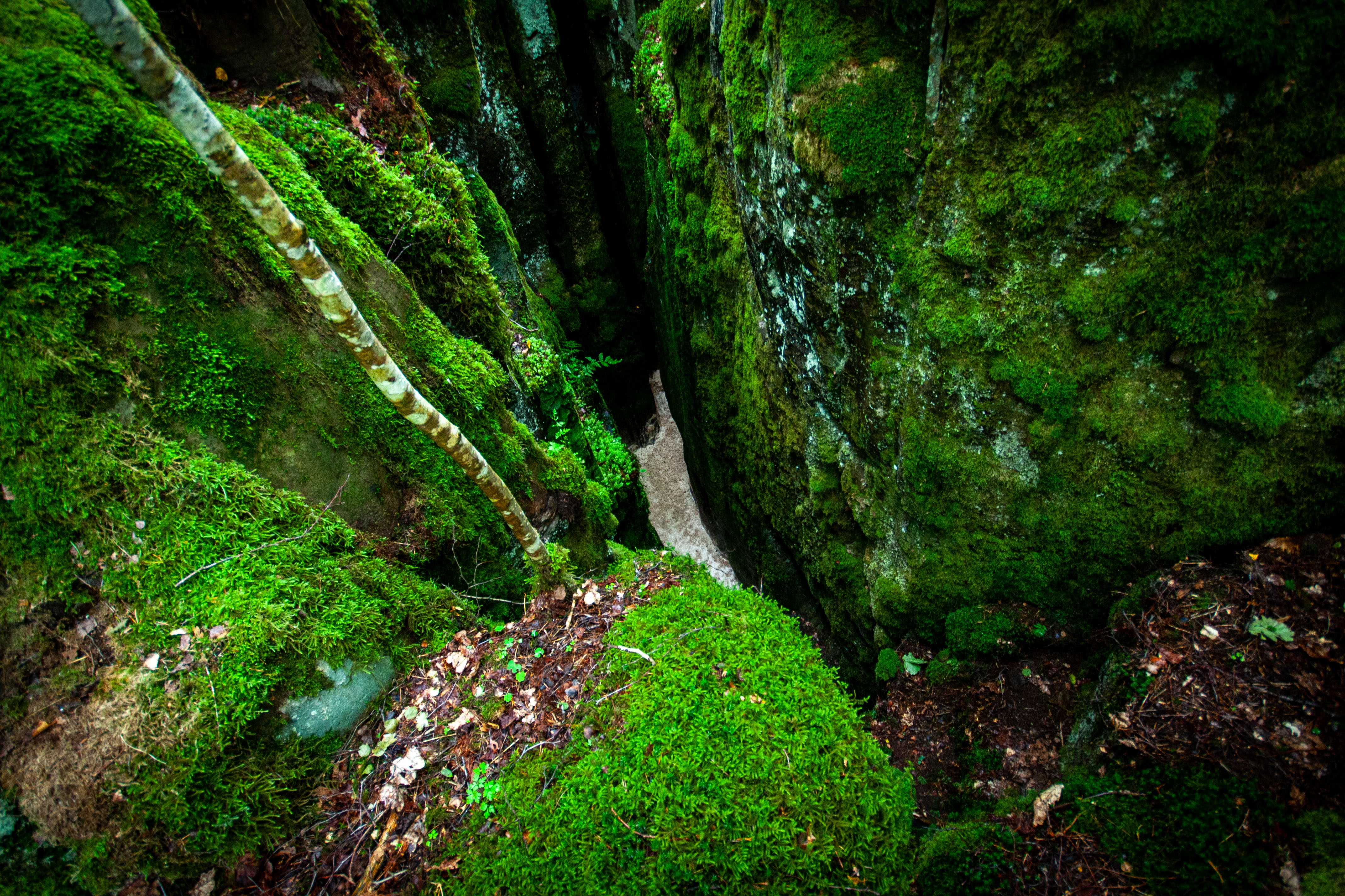 Foto av Mörkeklevs grotta