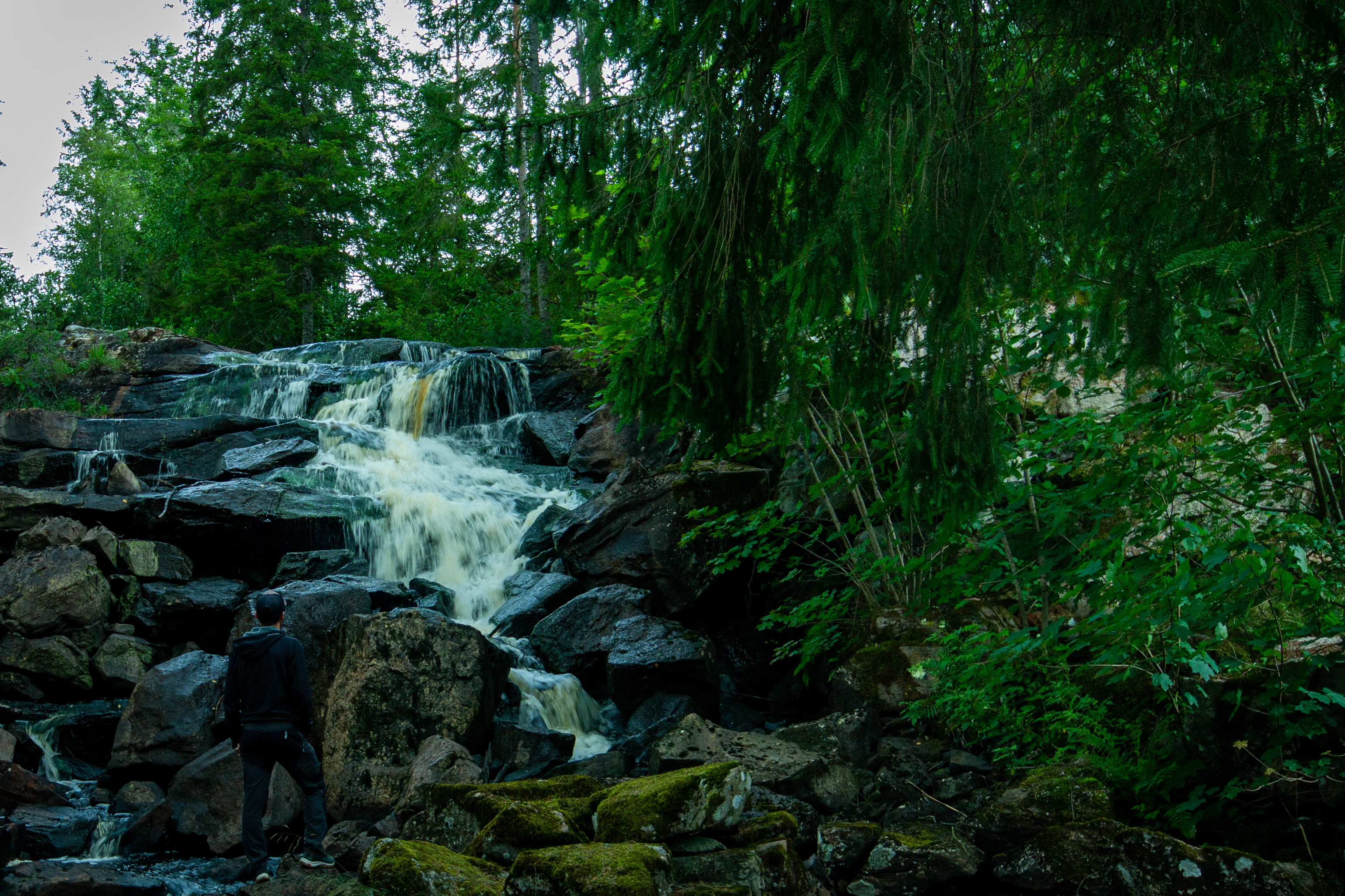 Foto av Gallhålan