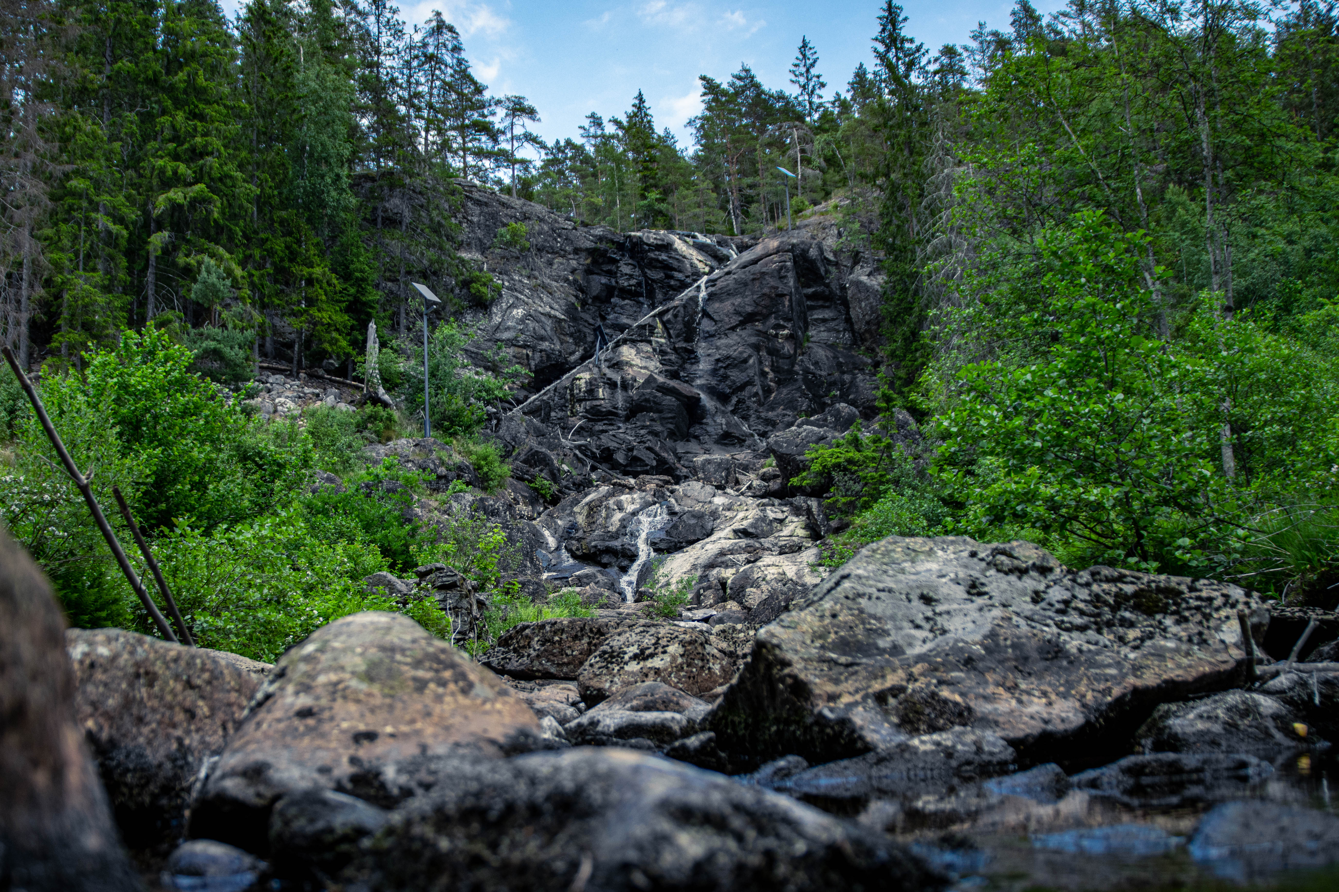 Foto av Brudslöjan