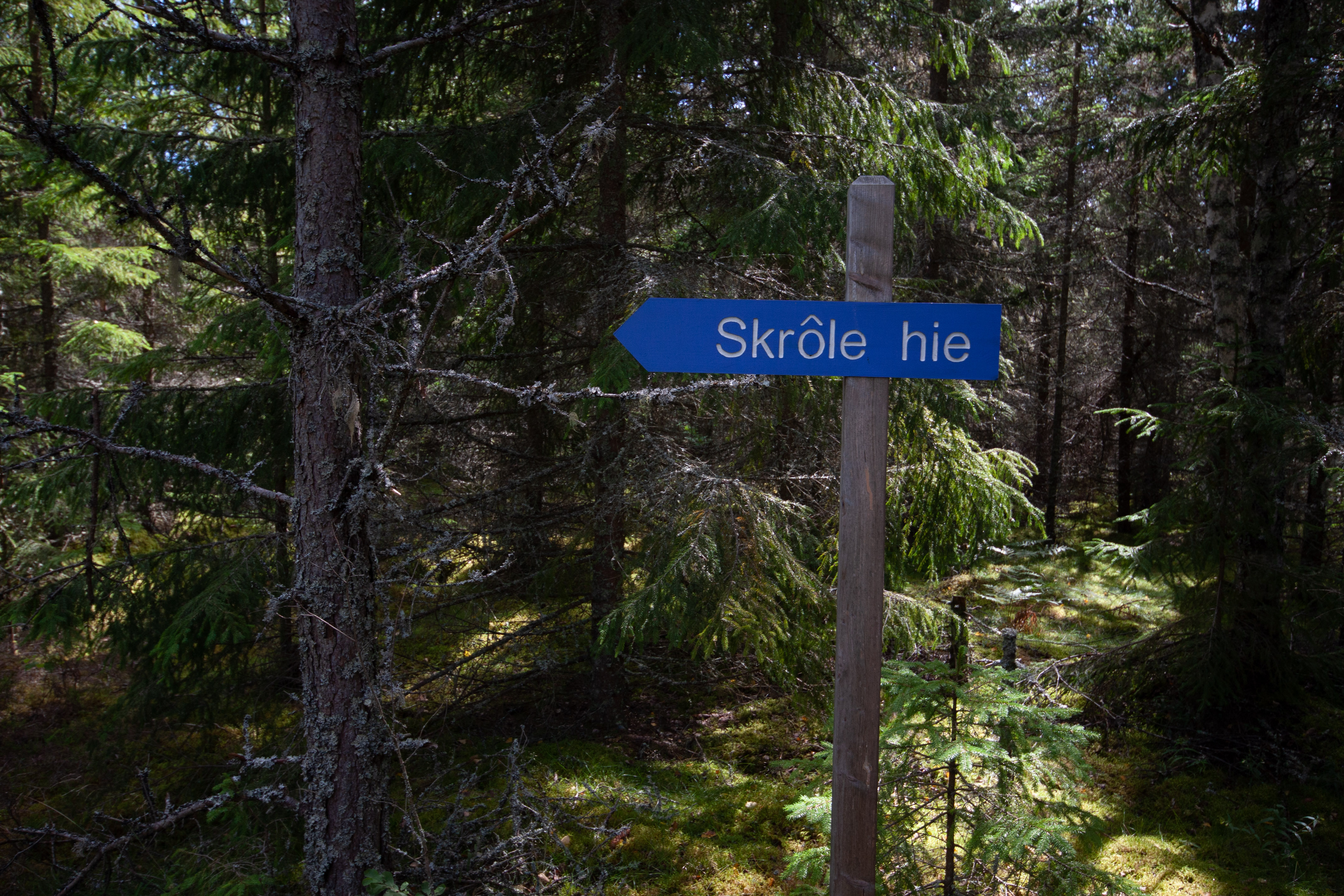 Foto av Helvetets håla