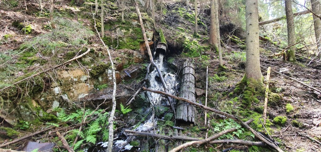 Resterna efter Skäftesfalls kraftstation