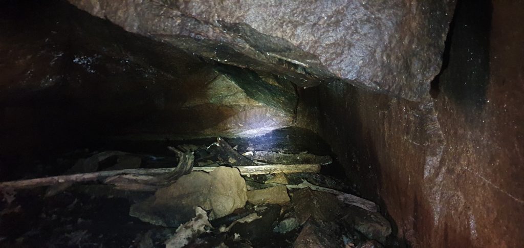 Inifrån en grotta vid Grims Hålor