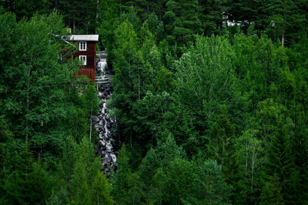 Vålsjöfallet
