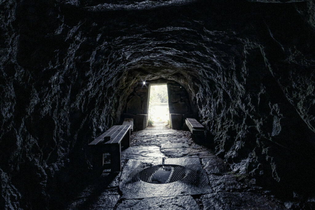 Sjögrottan